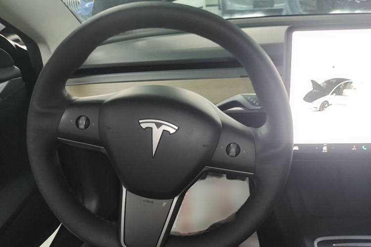 Tesla Model 3 2021 #11 Tesla Model 3 2021 car image #11