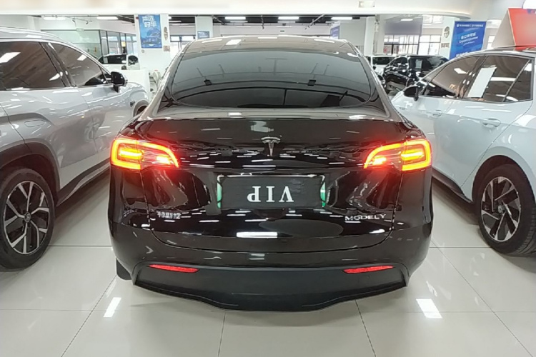 Tesla Model Y 2023 #6 Tesla Model Y 2023 car image #6