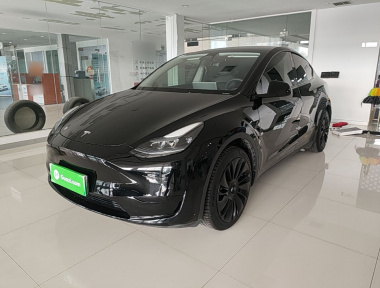 Tesla Model Y 2023 Tesla Model Y 2023 car image