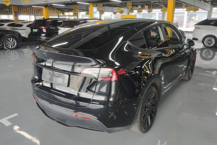 Tesla Model Y 2023 #7 Tesla Model Y 2023 car image #7