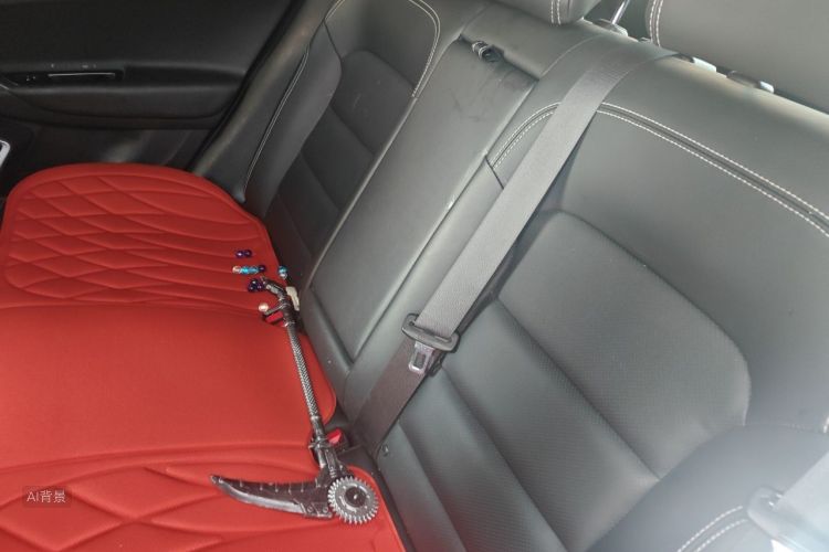 GEELY Emgrand GS 2019 car image #19