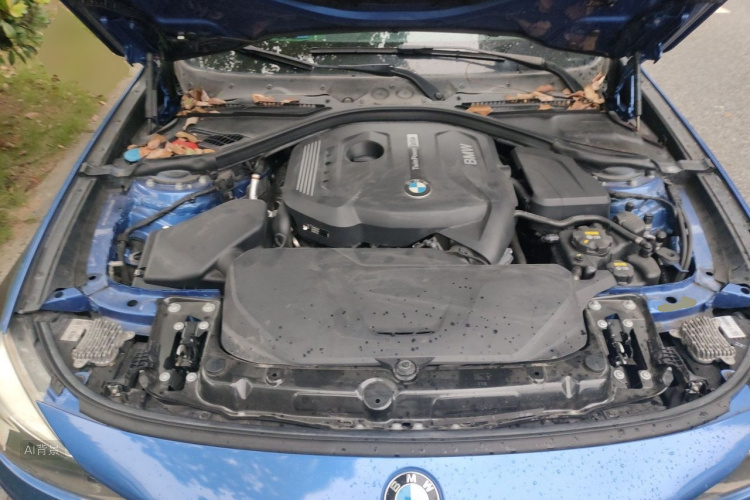 BMW 3 Series GT 2019 car image #22