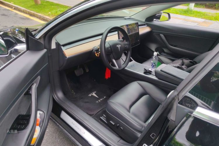 Tesla Model 3 2020 immagine di auto #18