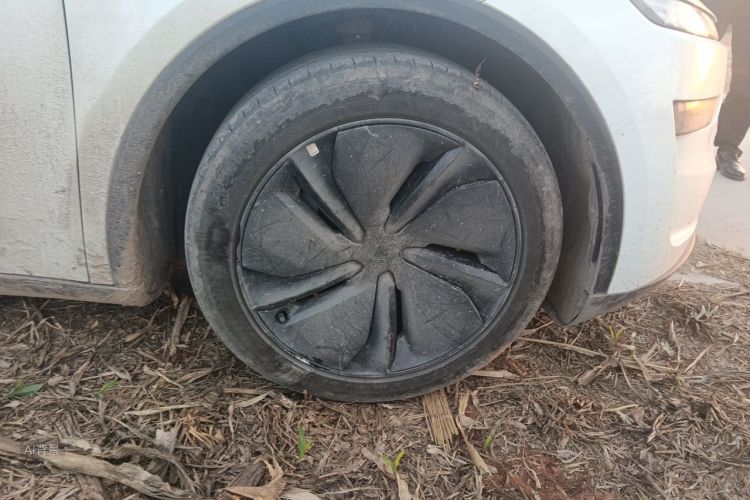 Tesla Model Y 2026 car image #9