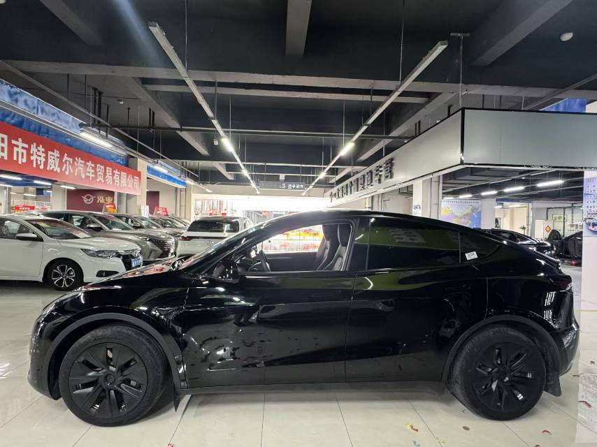 Tesla Model Y 2023 #10 Tesla Model Y 2023 car image #10