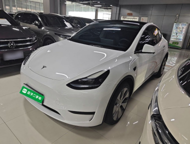 Tesla Model Y 2023 car image 