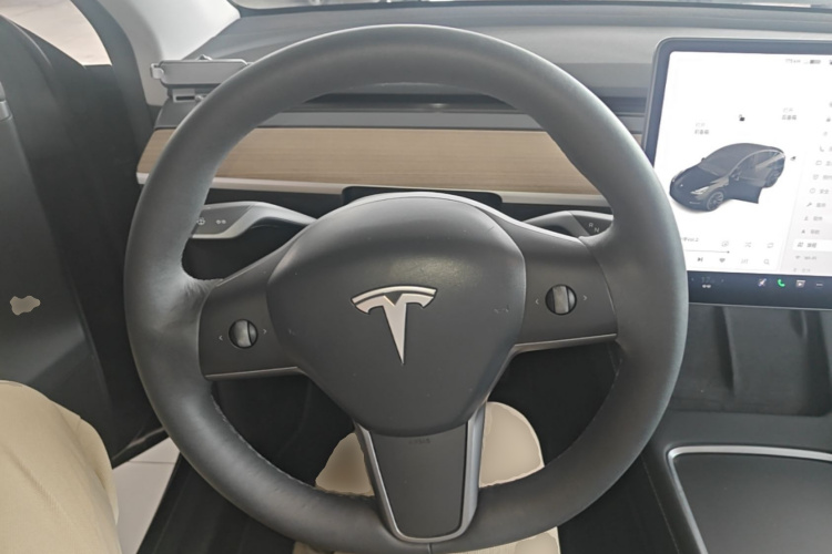 Tesla Model Y 2021 car image #11