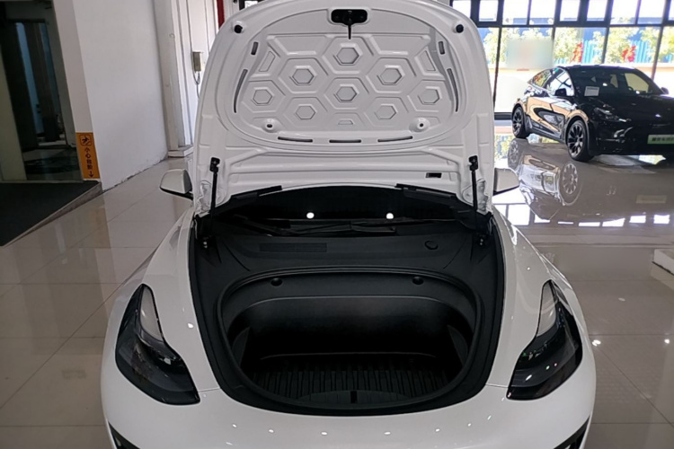 Tesla Model 3 2023 #20 Tesla Model 3 2023 immagine di auto #20