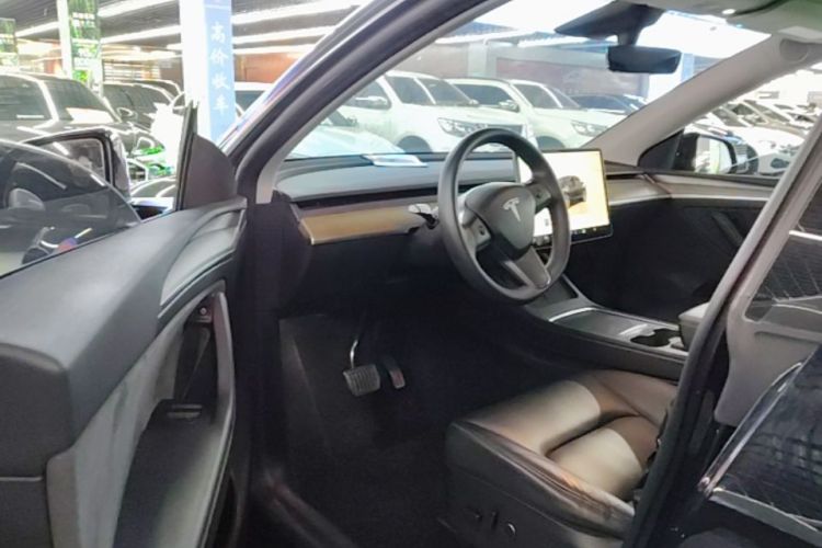 Tesla Model Y 2023 car image #16