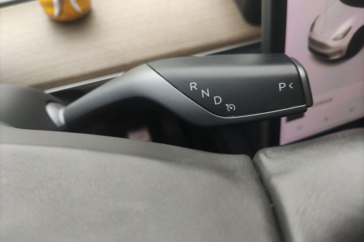 Tesla Model Y 2021 car image #18