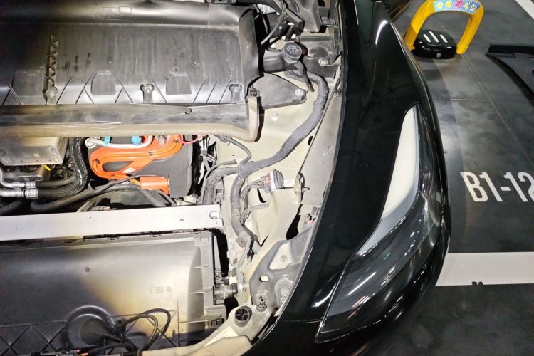 Tesla Model Y 2023 #24 Tesla Model Y 2023 car image #24