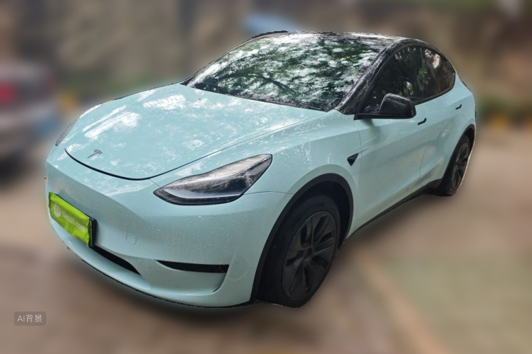 Tesla Model Y 2024 immagine di auto #2