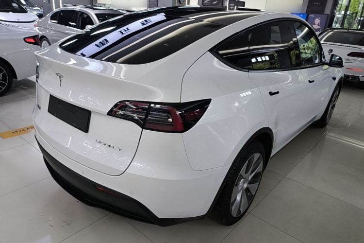 Tesla Model Y 2022 car image #7