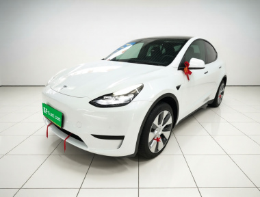Tesla Model Y 2023 Tesla Model Y 2023 car image