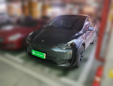 Tesla Model Y 2024 car image 