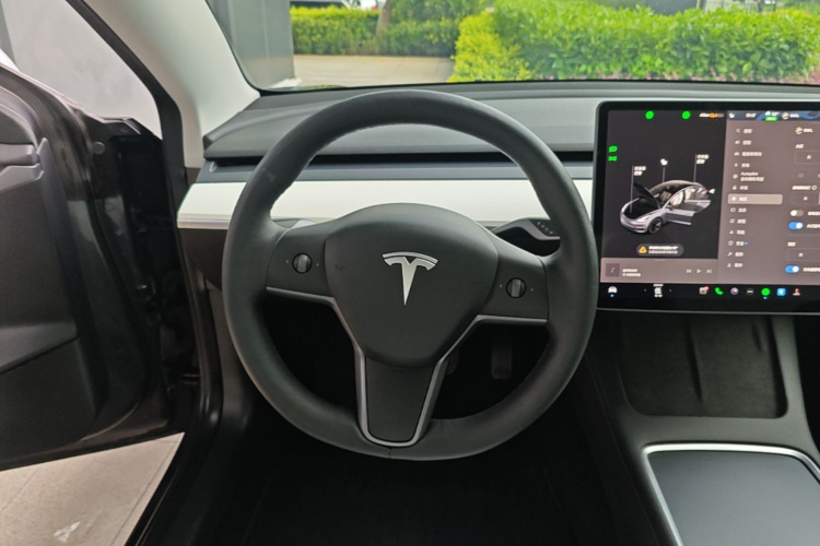 Tesla Model 3 2022 car image #15