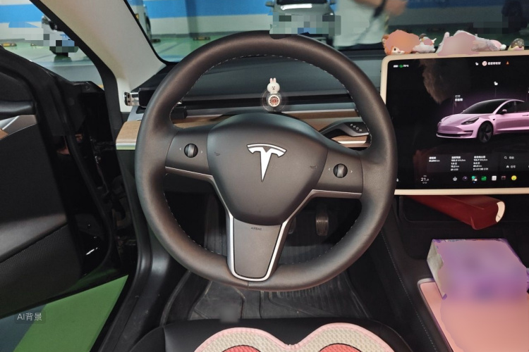 Tesla Model 3 2023 car image #12
