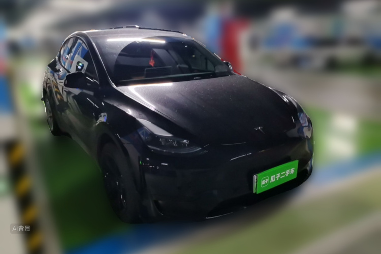 Tesla Model Y 2023 car image #4
