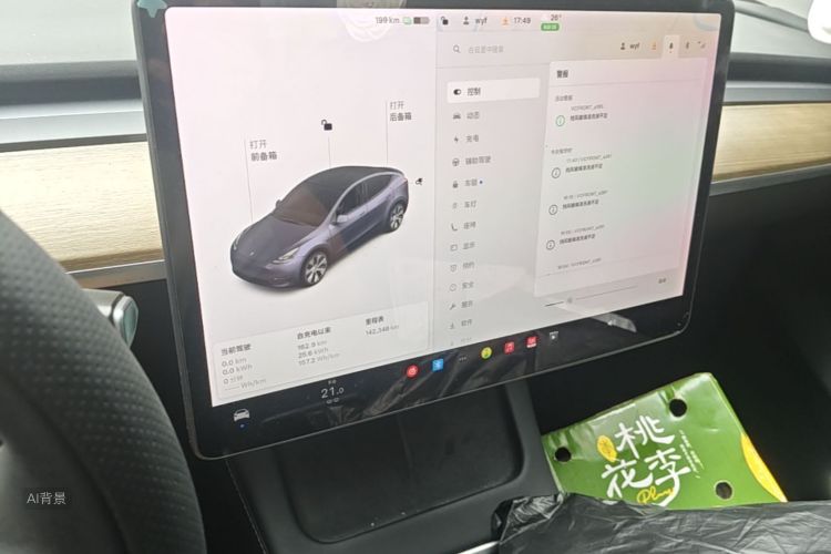 Tesla Model Y 2021 car image #15