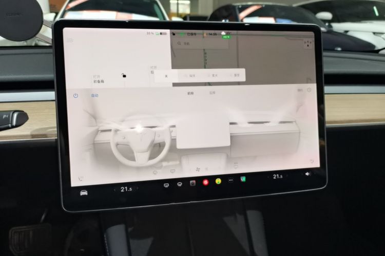 Tesla Model 3 2021 car image #13