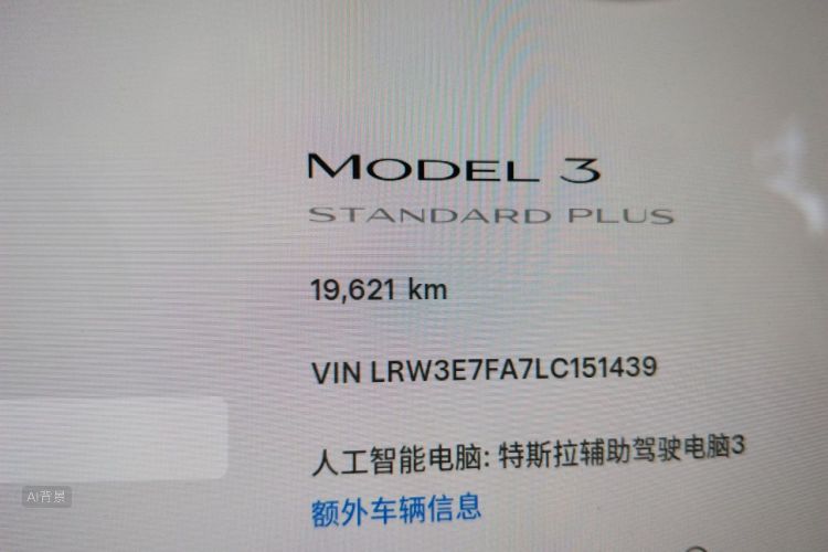 Tesla Model 3 2020 car image #14