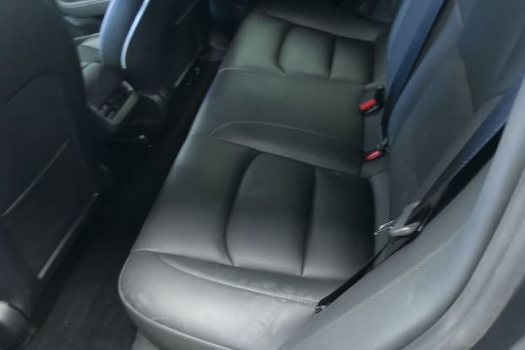 Tesla Model 3 2021 car image #17