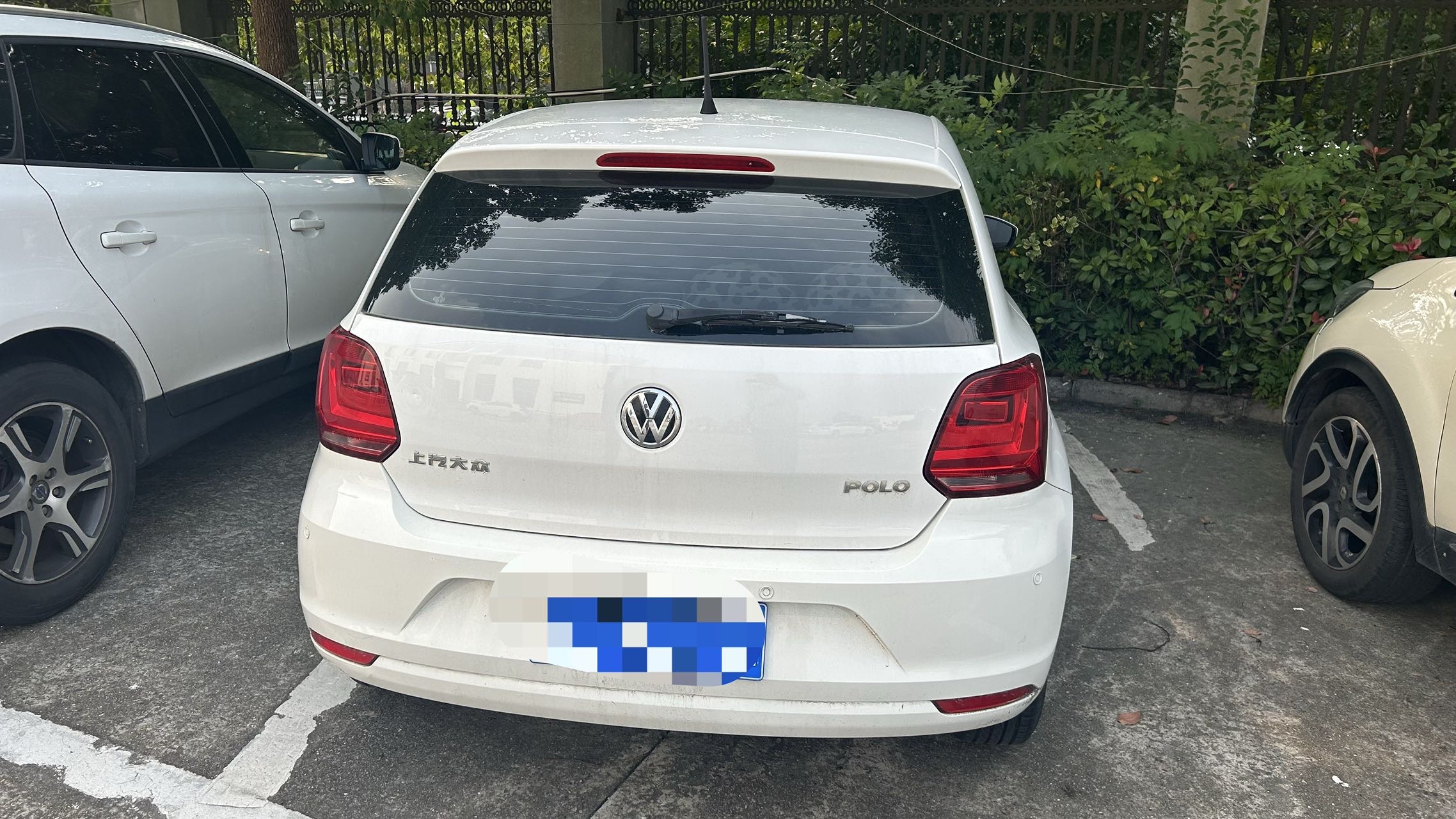 Volkswagen Polo 2017 #3 Volkswagen Polo 2017 immagine di auto #3