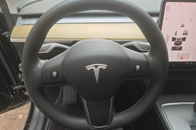 Tesla Model Y 2022 car image #12