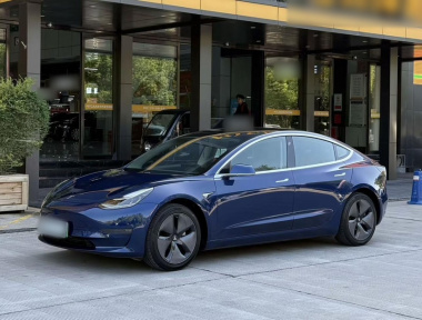 Tesla Model 3 2020 Tesla Model 3 2020 car image