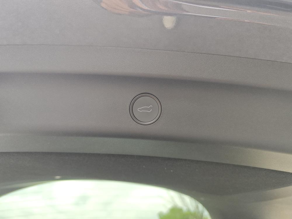 Tesla Model 3 2022 immagine di auto #8