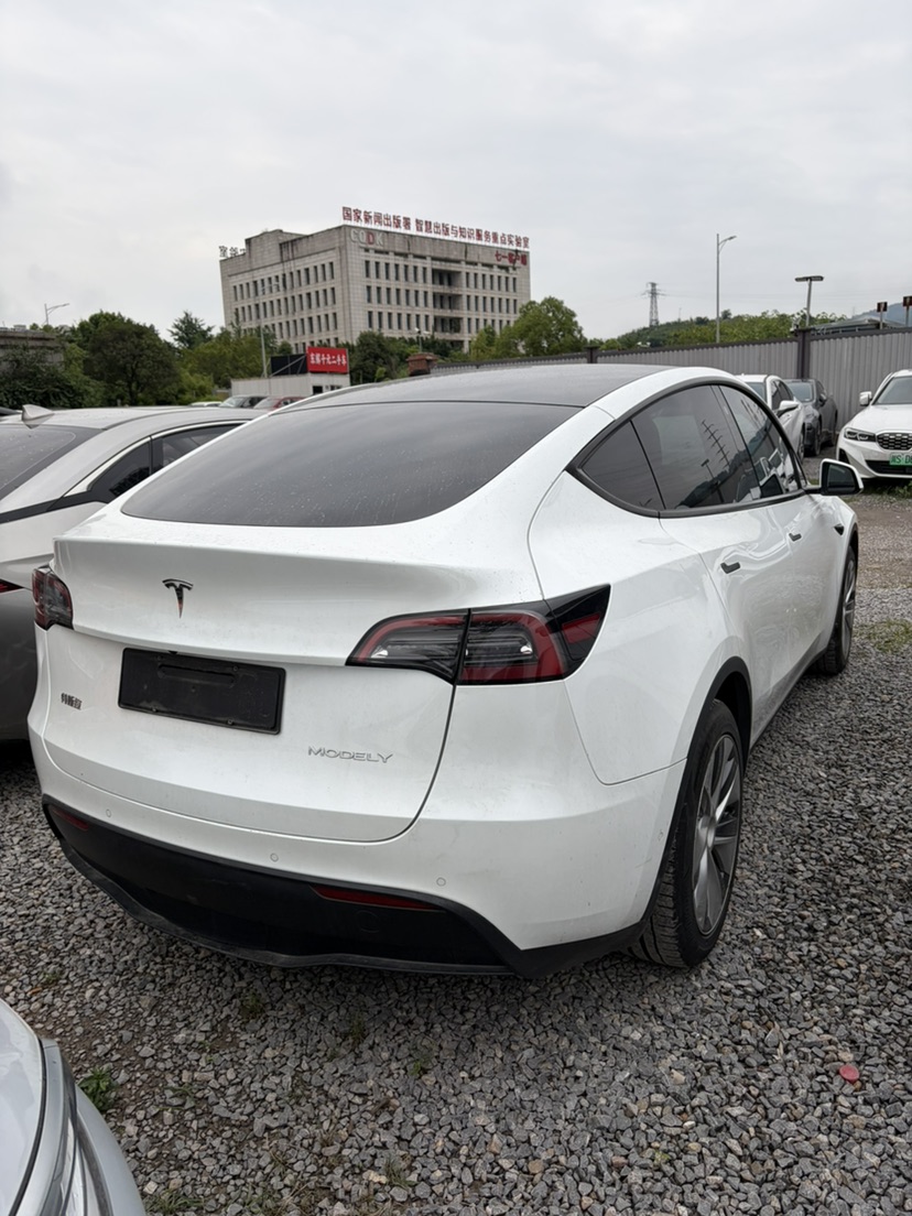 Tesla Model Y 2022 car image #8
