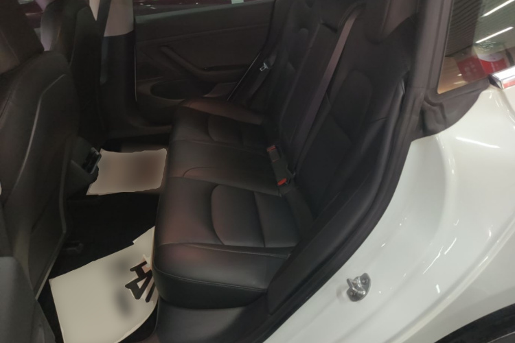 Tesla Model 3 2020 #17 Tesla Model 3 2020 car image #17