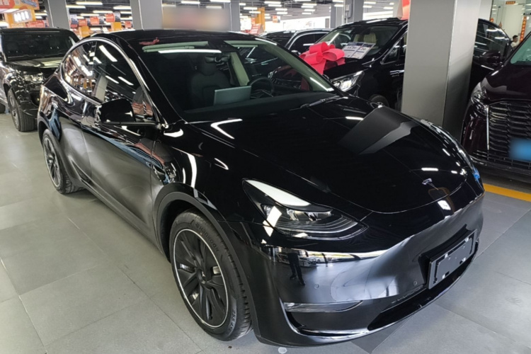 Tesla Model Y 2021 car image #6