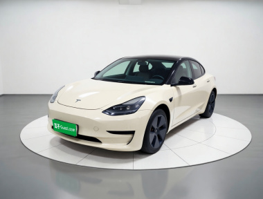 Tesla Model 3 2022 Tesla Model 3 2022 immagine di auto