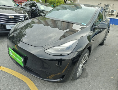 Tesla Model Y 2022 car image 