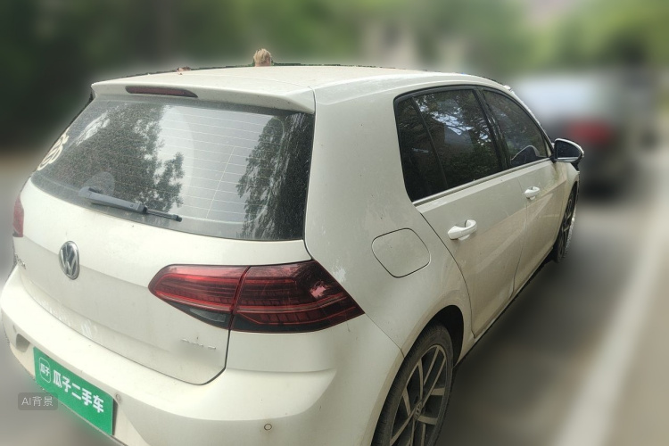 Volkswagen Golf 2018 car image #7