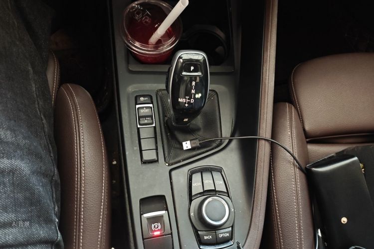 BMW X1 2019 car image #16