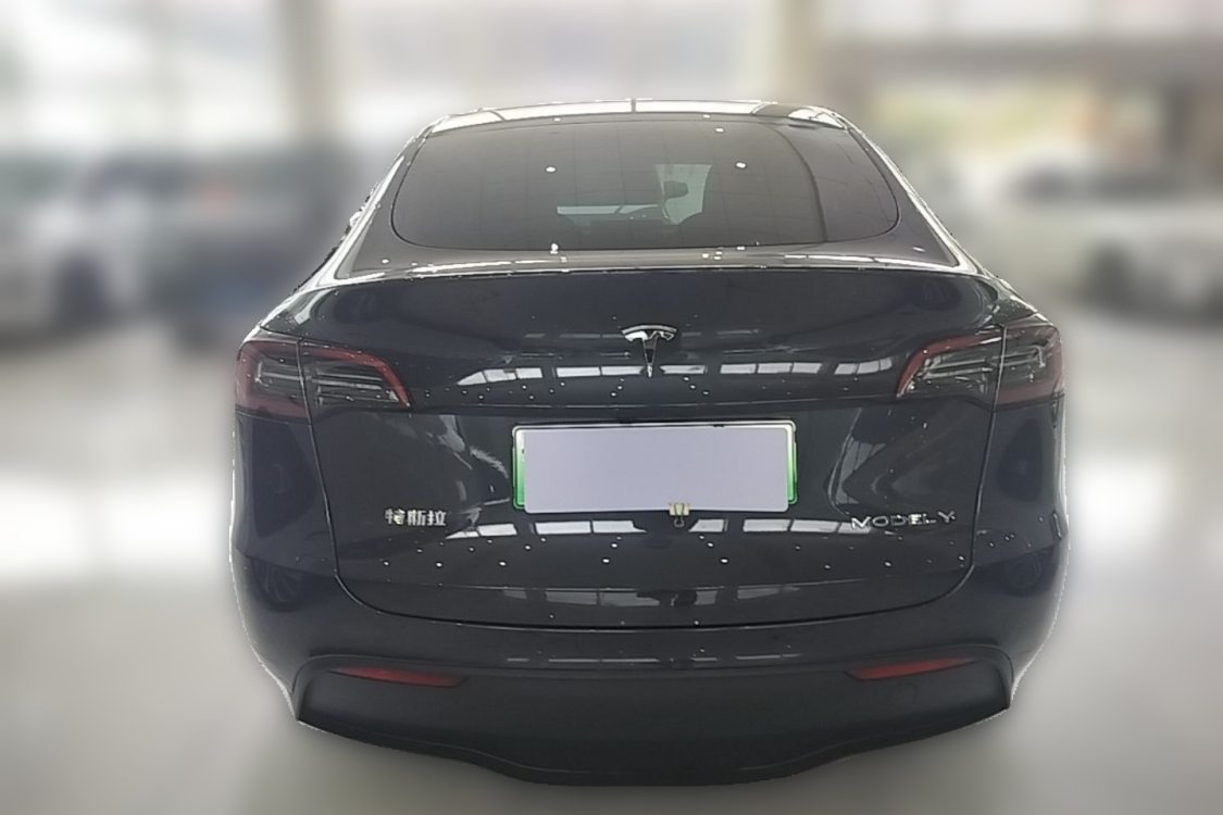 Tesla Model Y 2024 imagen de coche #4