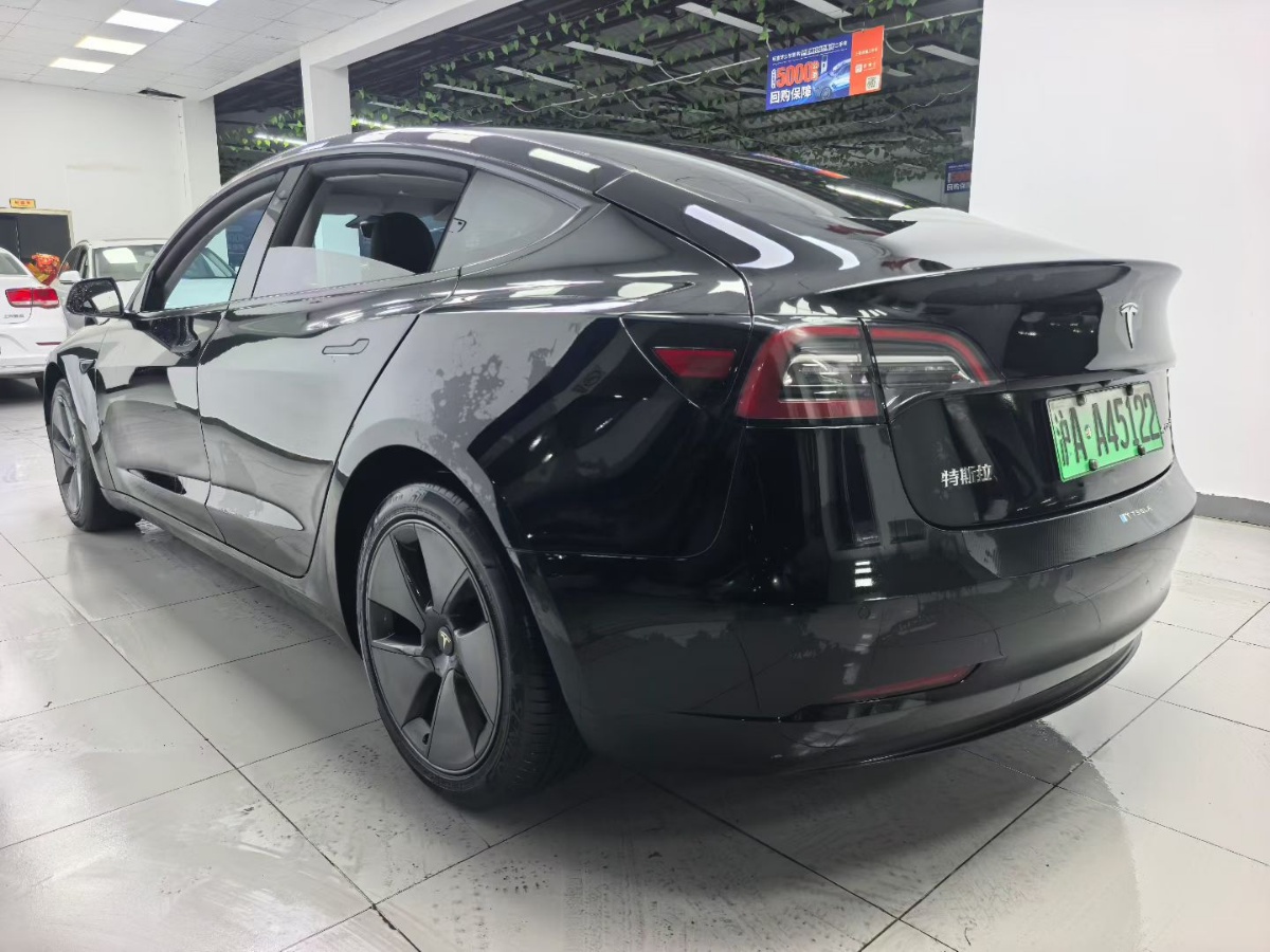 Tesla Model 3 2023 #6 Tesla Model 3 2023 car image #6