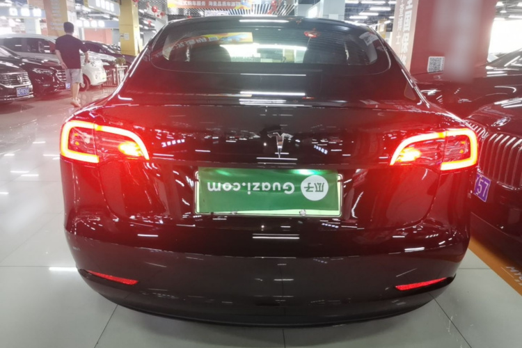 Tesla Model 3 2021 #6 Tesla Model 3 2021 car image #6