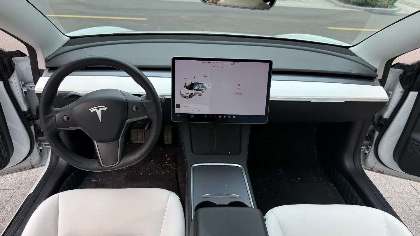 Tesla Model 3 2021 #5 Tesla Model 3 2021 car image #5