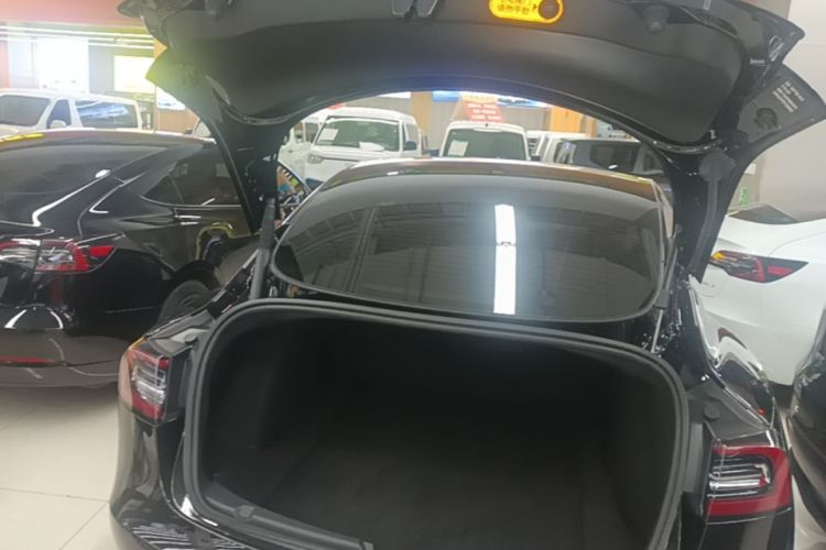 Tesla Model 3 2023 car image #19