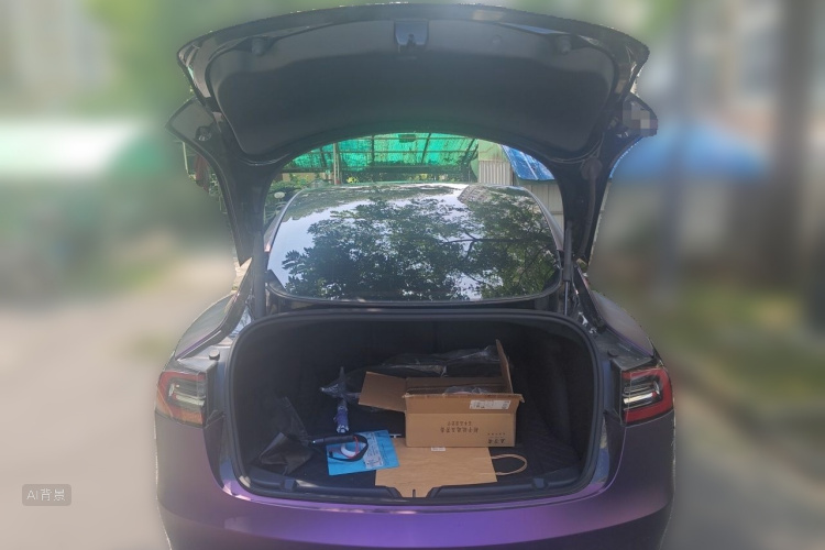 Tesla Model 3 2021 #21 Tesla Model 3 2021 car image #21