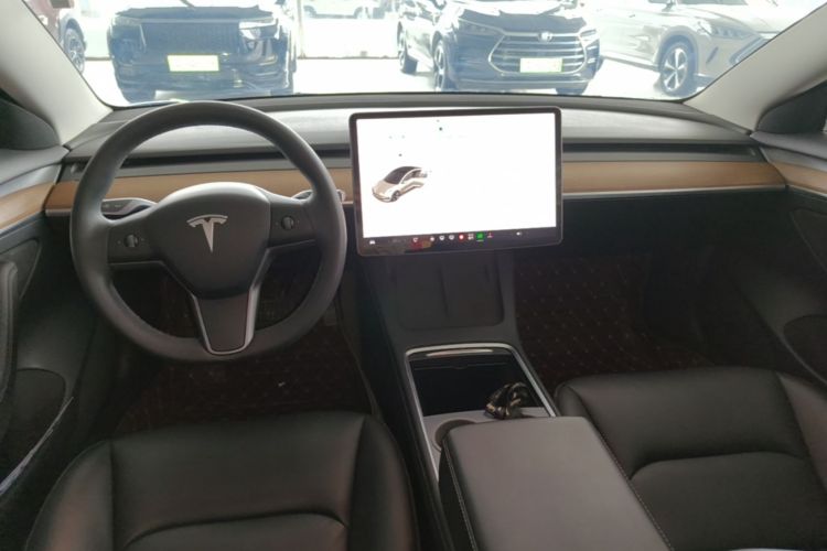 Tesla Model 3 2021 car image #10