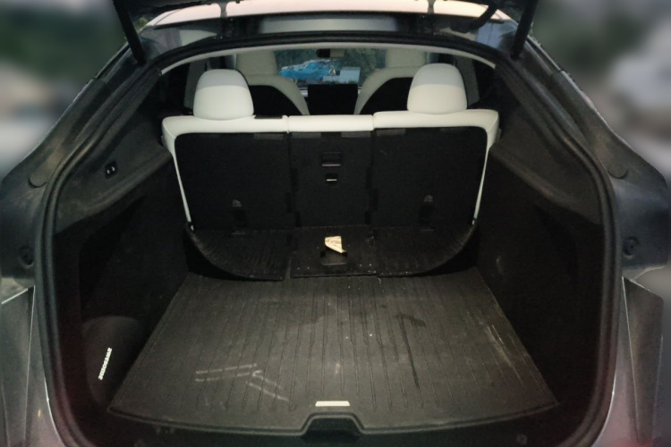 Tesla Model Y 2025 #21 Tesla Model Y 2025 car image #21