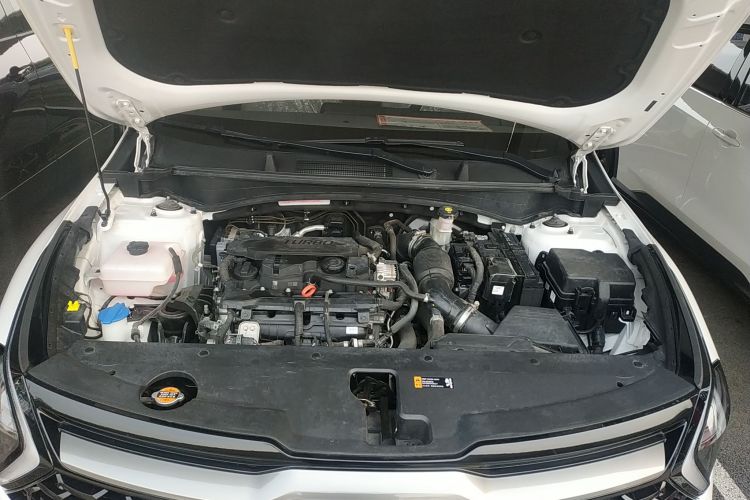 起亚 狮铂拓界 2022 汽车图片 #20