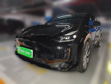 Tesla Model Y 2023 Tesla Model Y 2023 car image