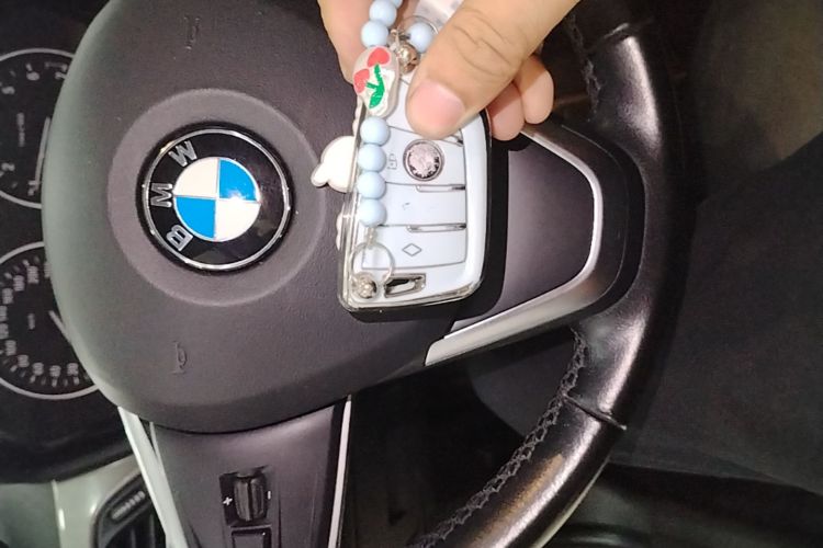 BMW X1 2016 #9 BMW X1 2016 immagine di auto #9