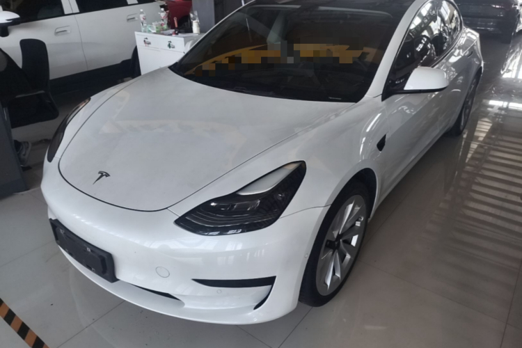 Tesla Model 3 2021 car image #2