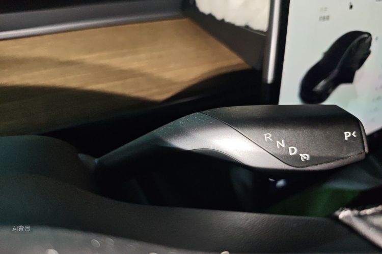Tesla Model 3 2022 car image #16